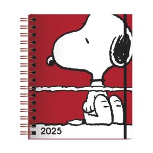 Agenda 2025 Dgnottas Snoopy Surtido